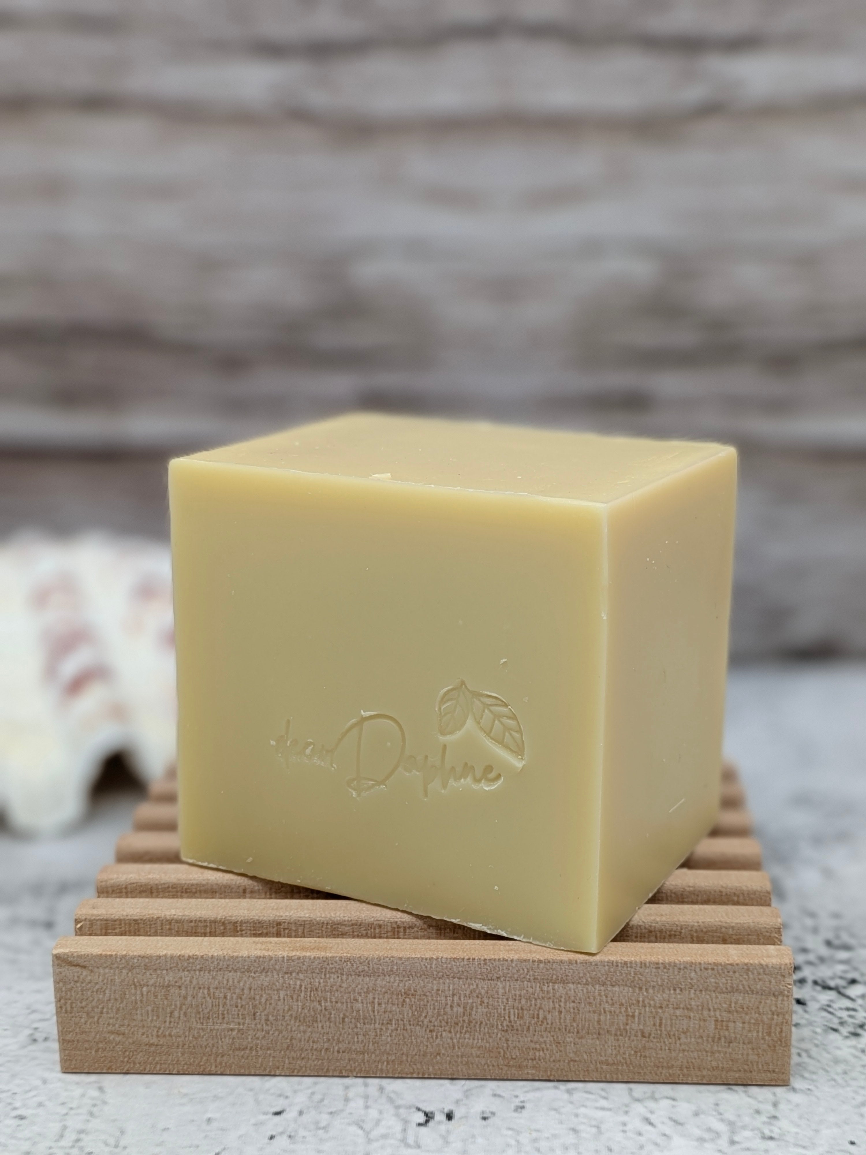 CITRIS EUCALYPTUS Dish Soap 8oz - Kits or Single Blocks